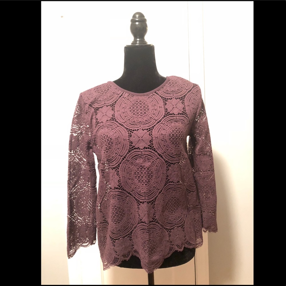 Like New LOFT Lace Shell